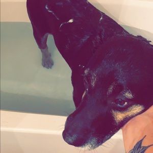 Meet your Posher, Ashton